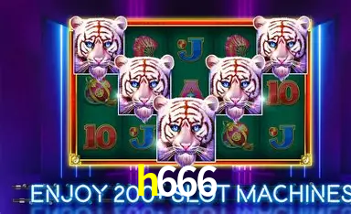 h666 bet